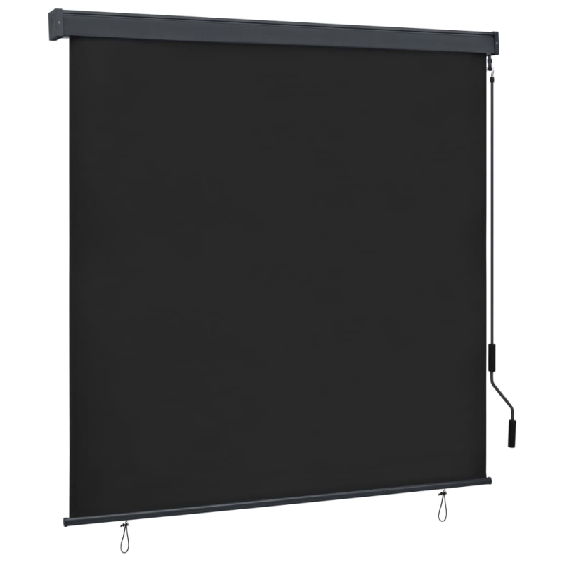 Außenrollo 160x250 cm Anthrazit