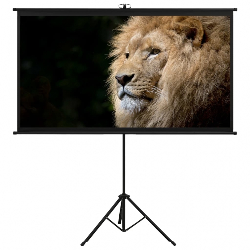 Beamer-Leinwand mit Stativ 90 16:9