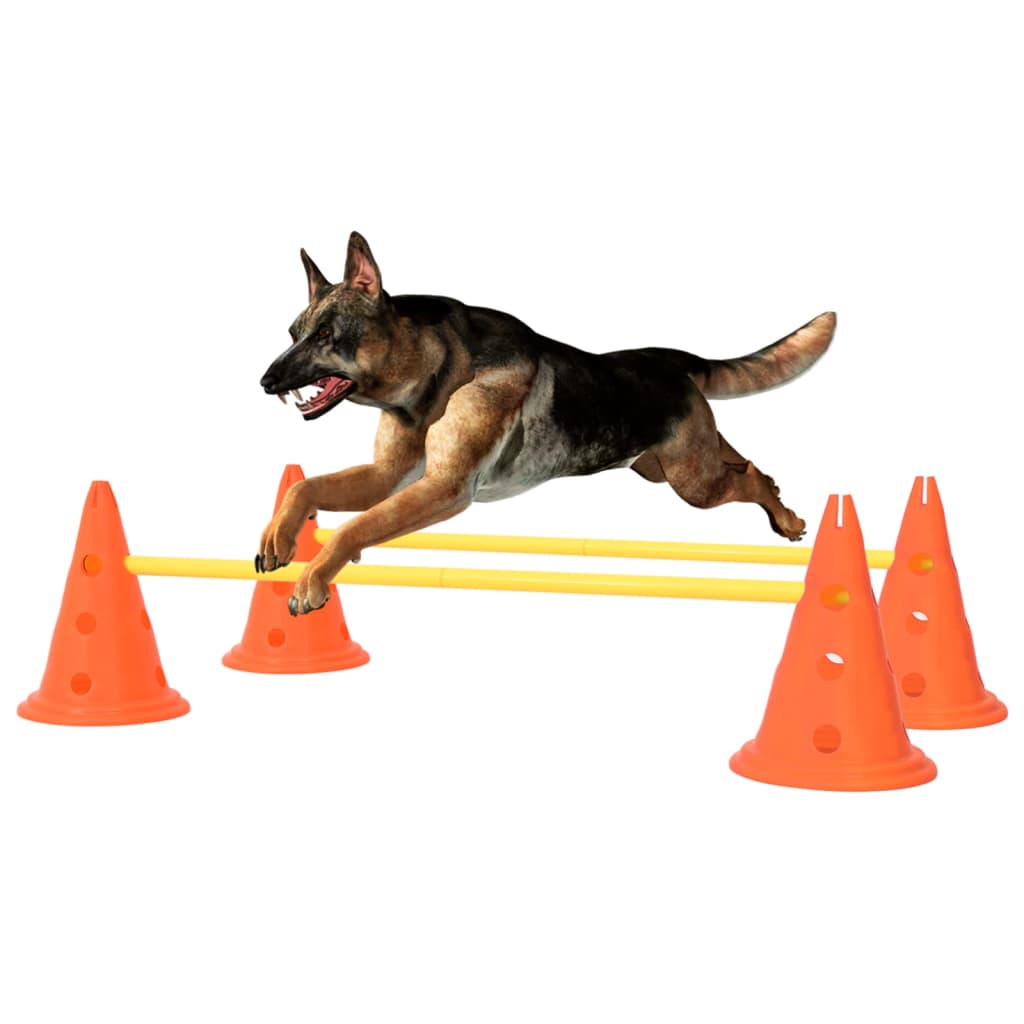 Aktivitäts-Hindernis-Set für Hunde Orange und Gelb