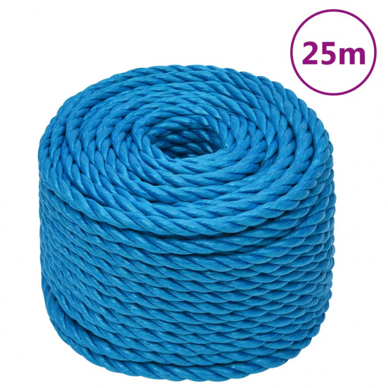 Arbeitsseil Blau 10 mm 25 m Polypropylen