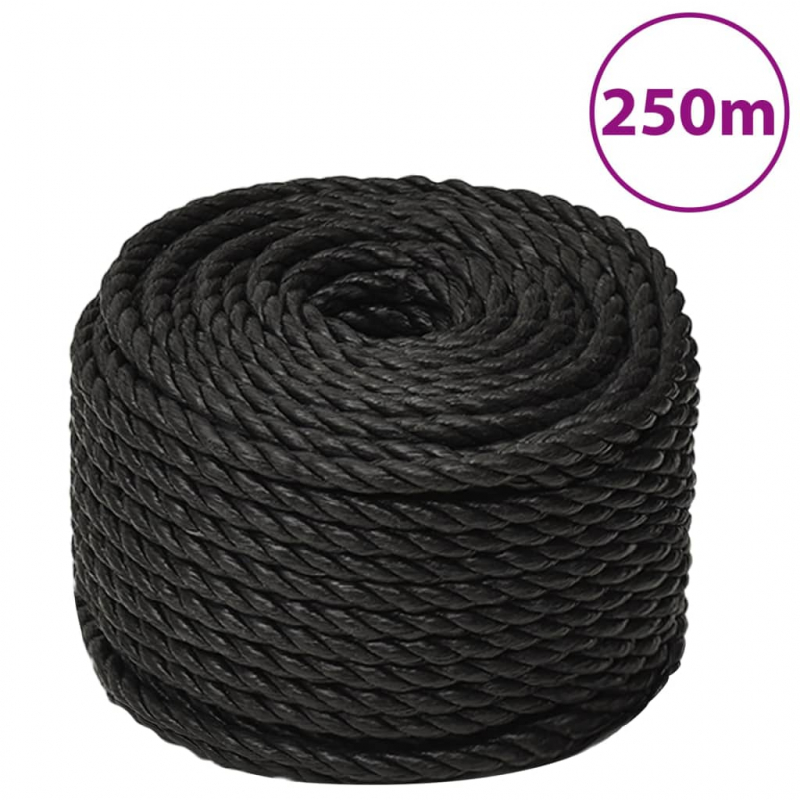 Arbeitsseil Schwarz 10 mm 250 m Polypropylen