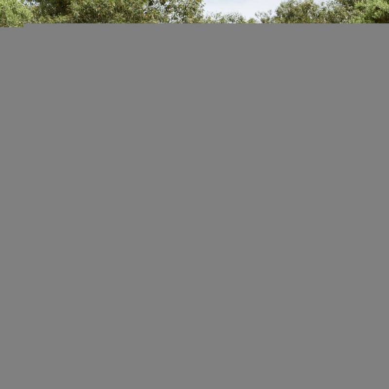 14-tlg. Garten-Sofagarnitur mit Kissen Schwarz Poly Rattan