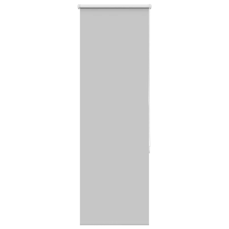Verdunkelungsrollo Hellgrau 60x150 cm Stoffbreite 55,7 cm