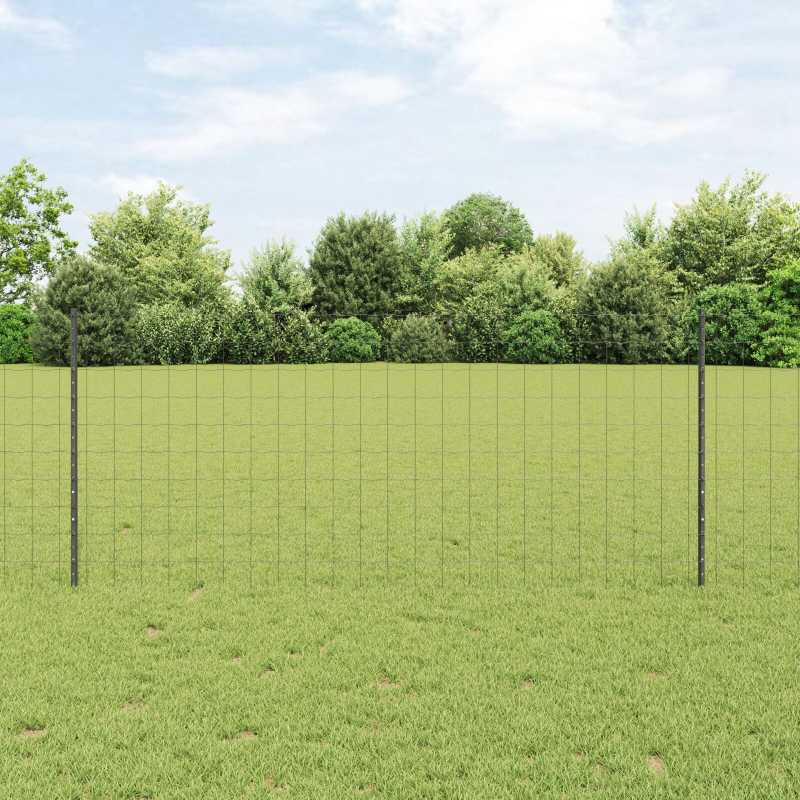 Gartenzaunset Set aus 2 Grau Pulverbeschichteter Stahl 10 x 1 m