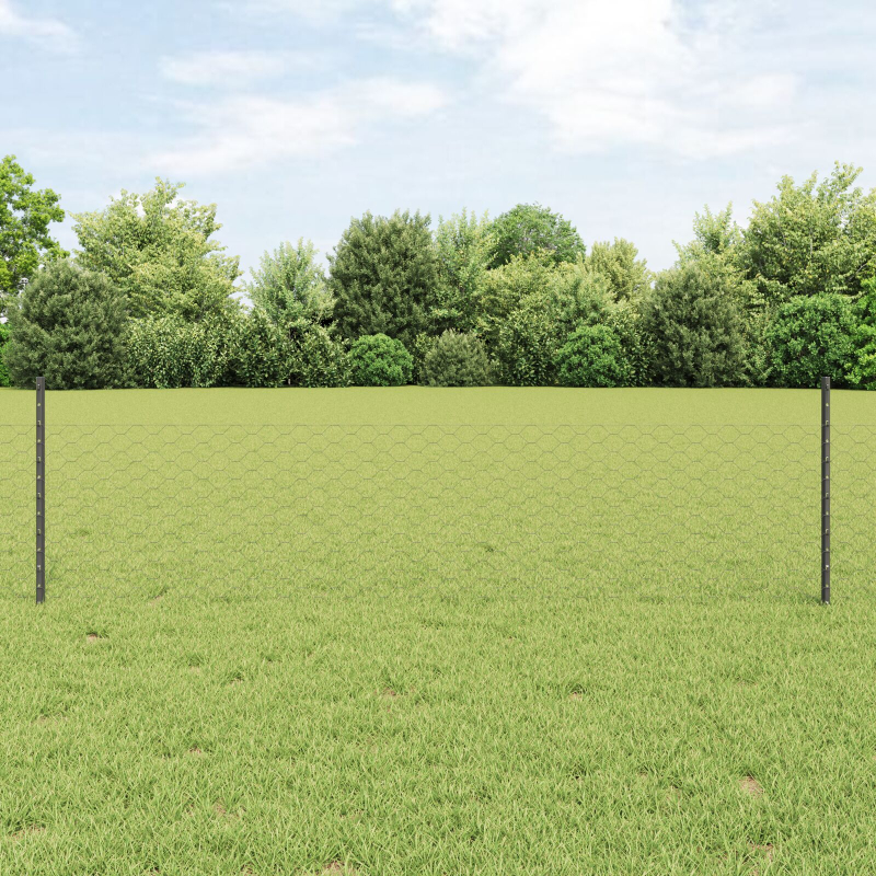 Sechseckiger Gartenzaun Set Set aus 2 Grau Stahl 25 x 0.5m