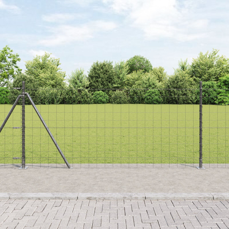 Eurozaun Set aus 2 Grau Metall 10 x 1 m Langlebig Zaun