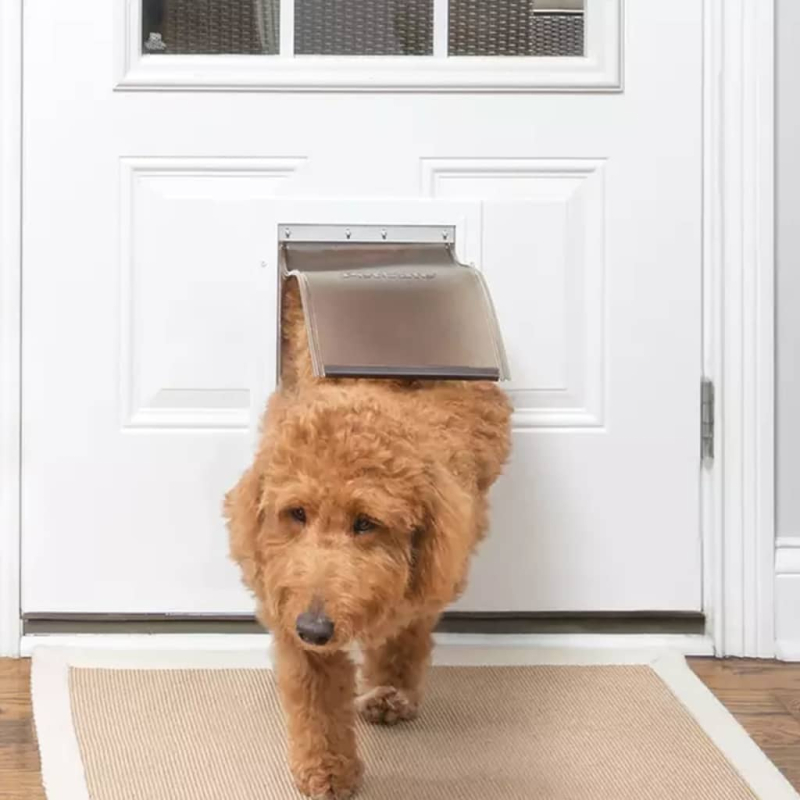 PetSafe Haustierklappe 620 Aluminium unter 18 kg 5014