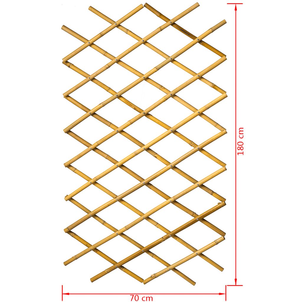 Nature Garten Gitter 70x180 cm Bambus 6040721