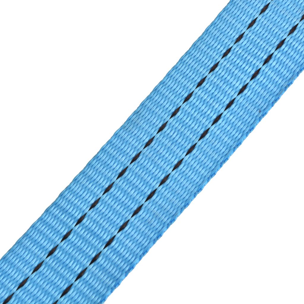 Ratschen-Spanngurte 4 Stk. 2 Tonnen 6m×38mm Blau