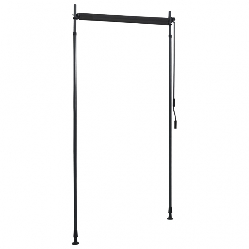 Außenrollo 100 x 270 cm Anthrazit