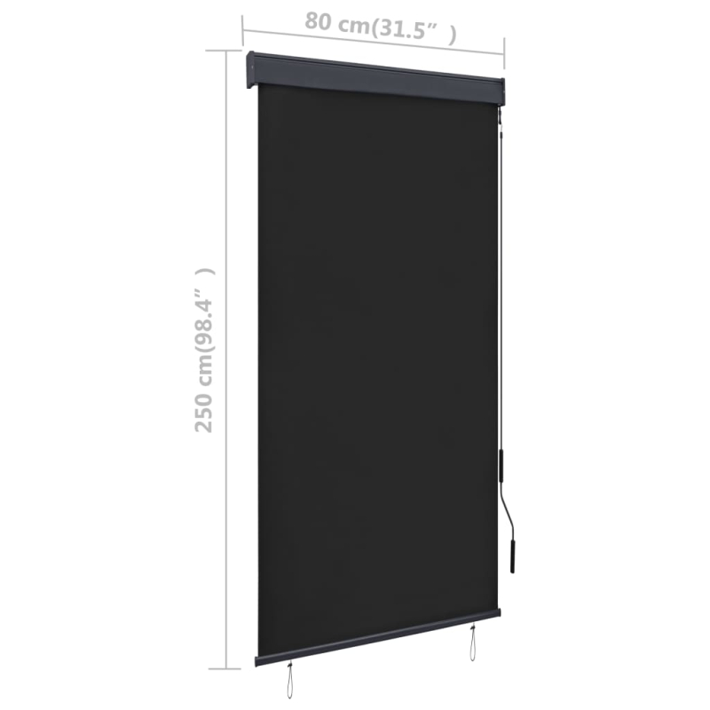 Außenrollo 80 x 250 cm Anthrazit