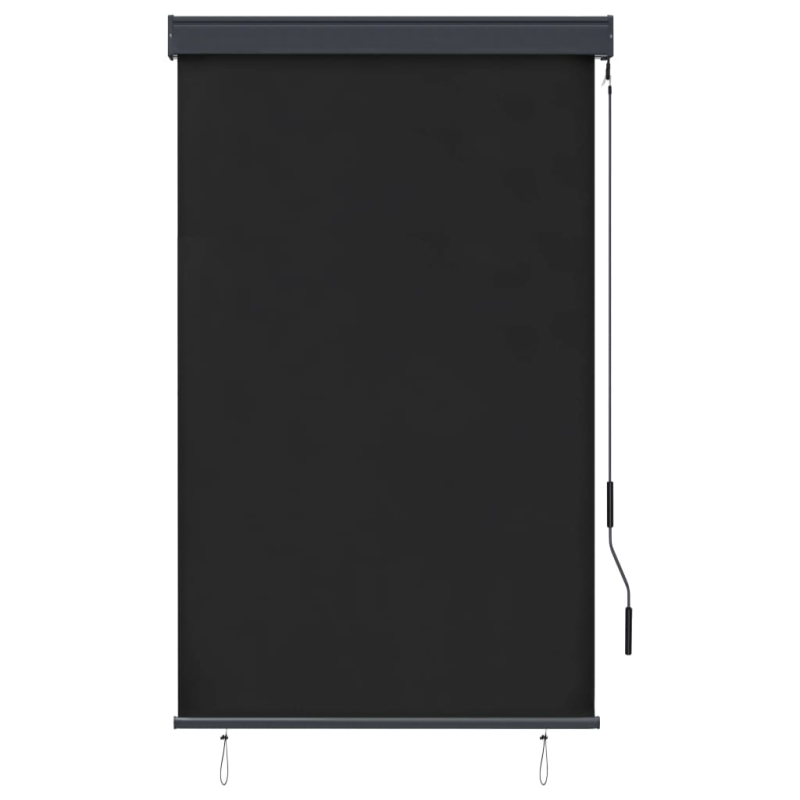Außenrollo 100 x 250 cm Anthrazit