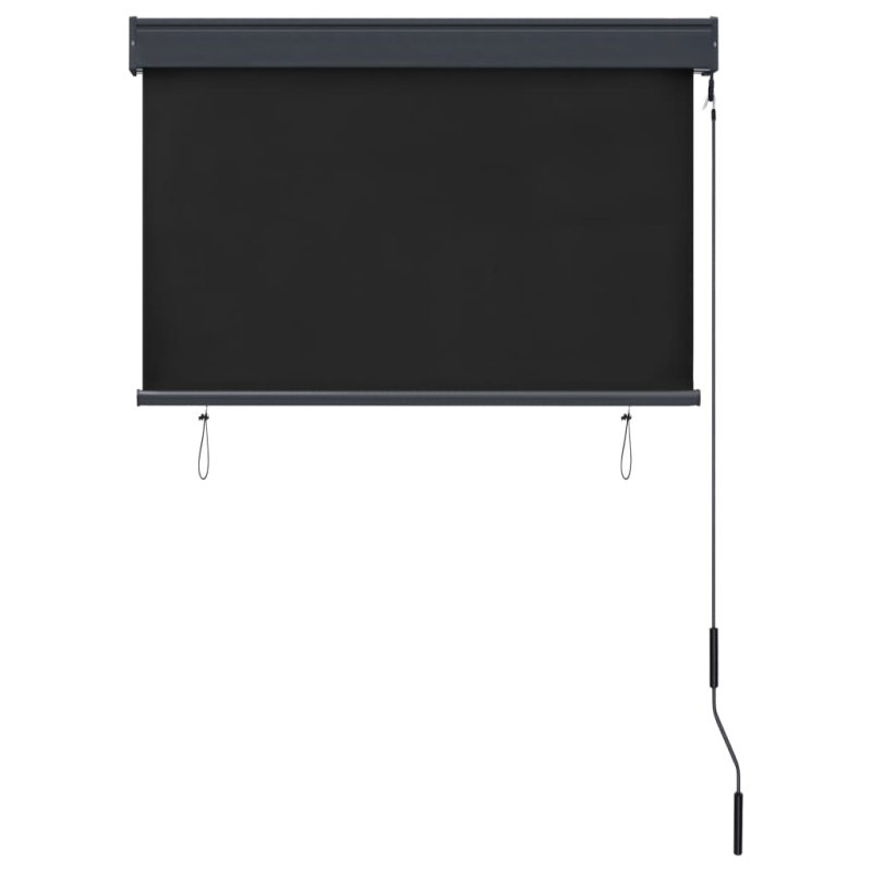 Außenrollo 100 x 250 cm Anthrazit