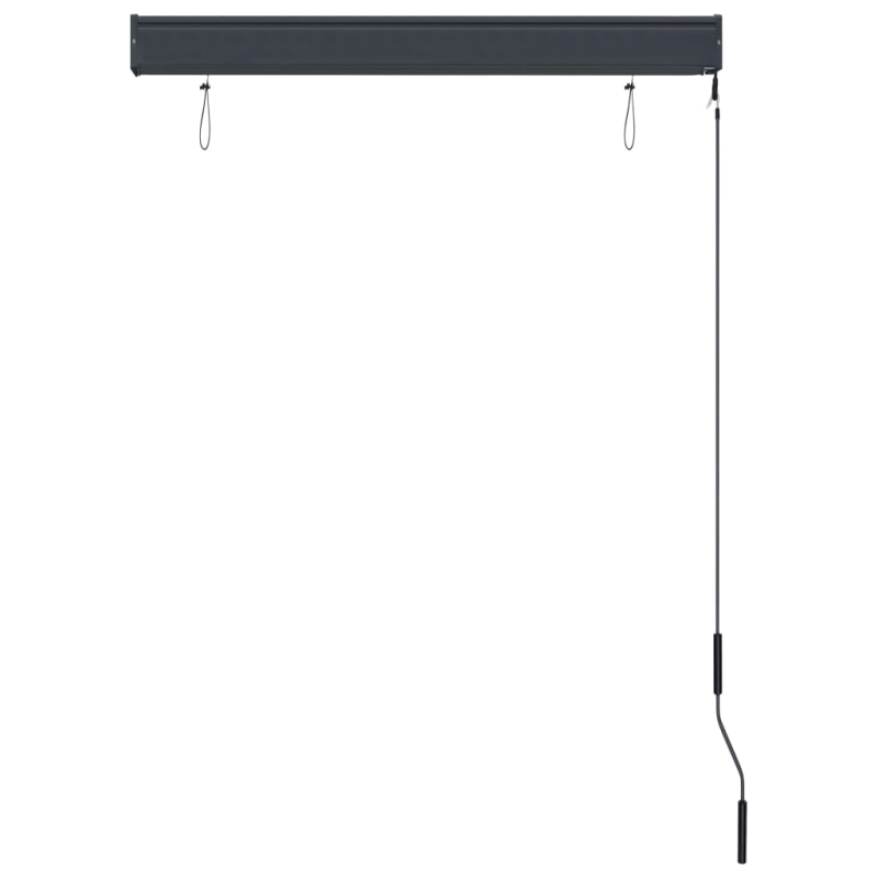 Außenrollo 100 x 250 cm Anthrazit