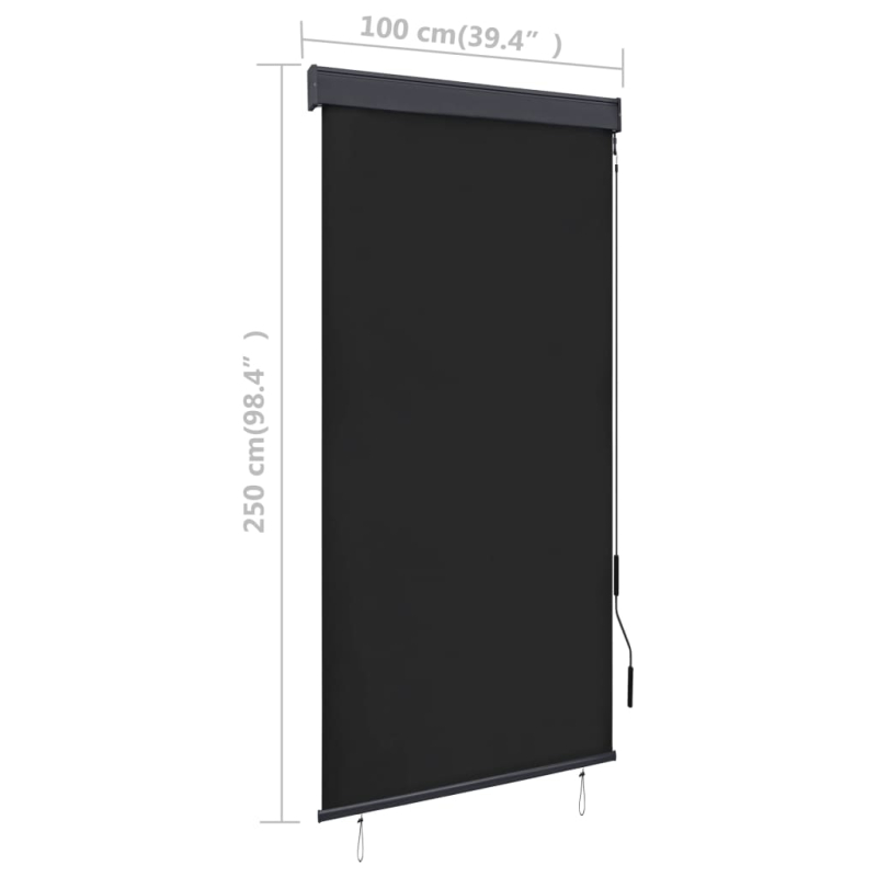 Außenrollo 100 x 250 cm Anthrazit