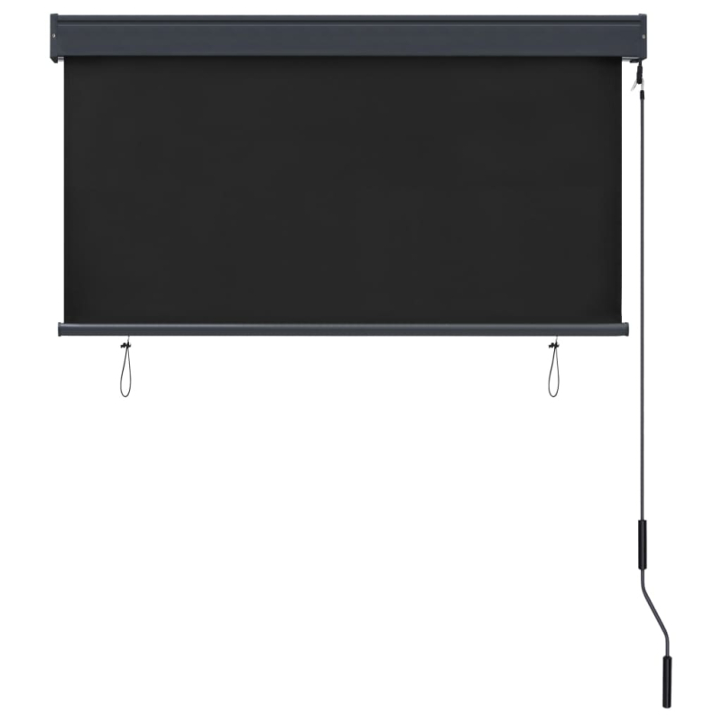 Außenrollo 120 x 250 cm Anthrazit