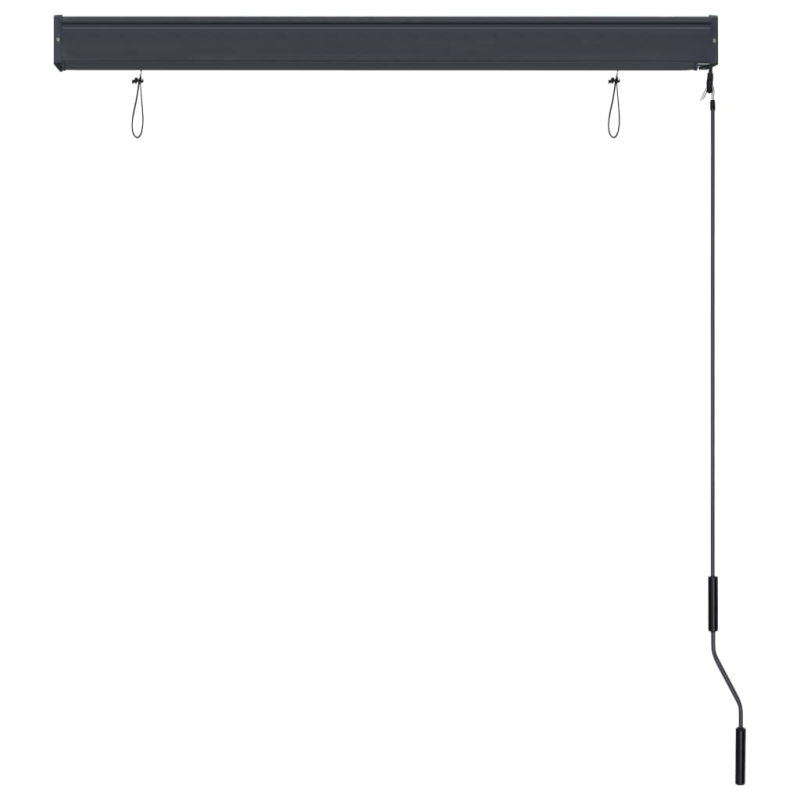 Außenrollo 120 x 250 cm Anthrazit