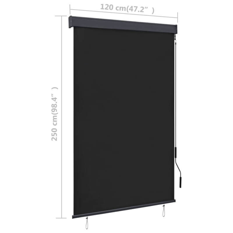 Außenrollo 120 x 250 cm Anthrazit