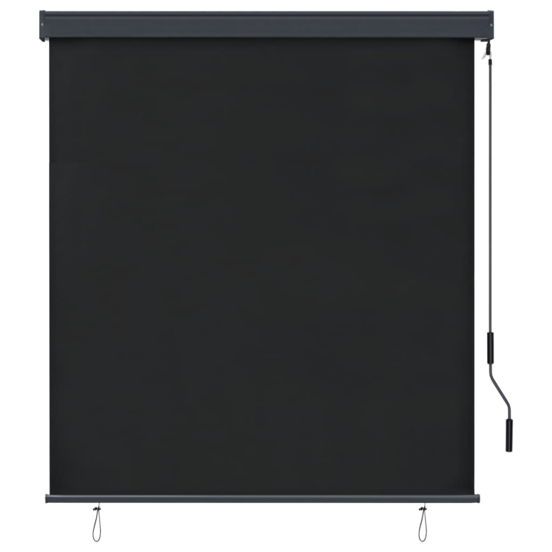 Außenrollo 140x250 cm Anthrazit