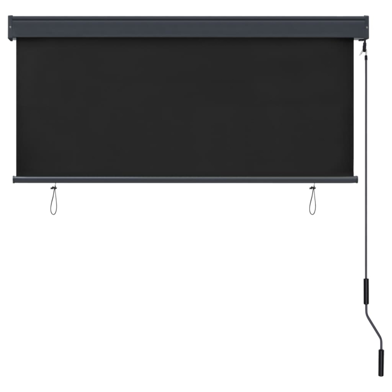Außenrollo 140x250 cm Anthrazit