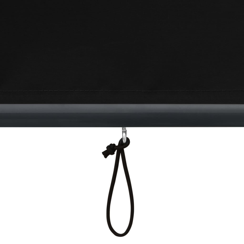 Außenrollo 170 x 250 cm Anthrazit