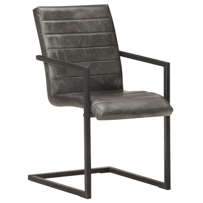 Freischwinger 2 Stk. Grau Echtleder