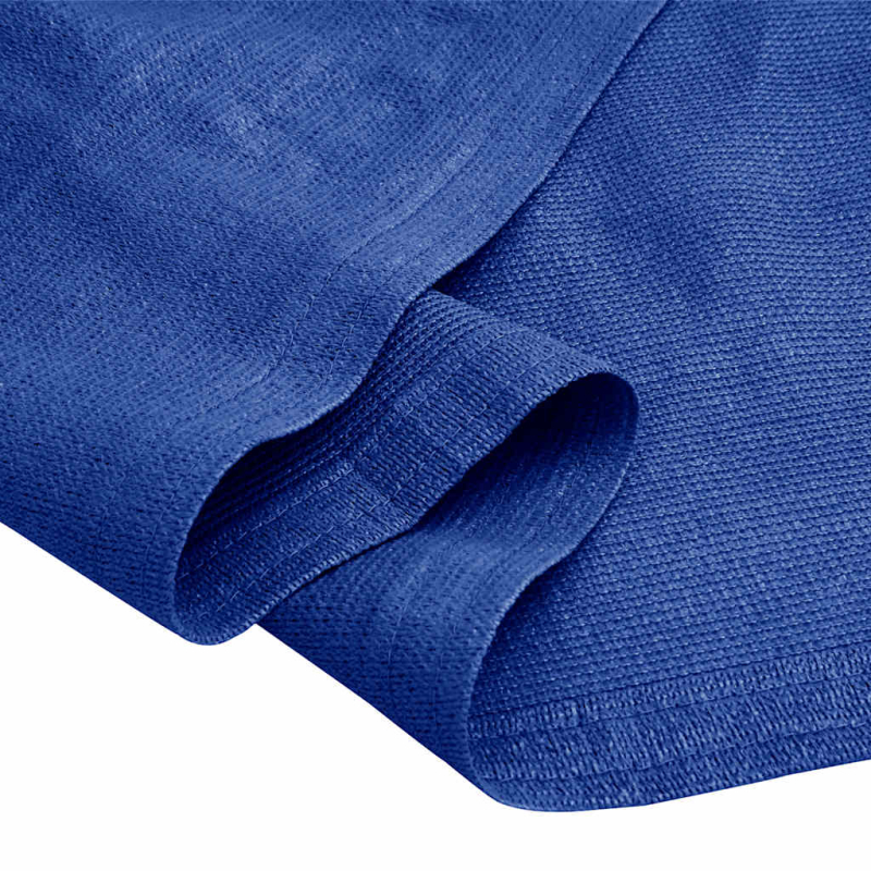 Zeltteppich 200x200 cm Blau HDPE