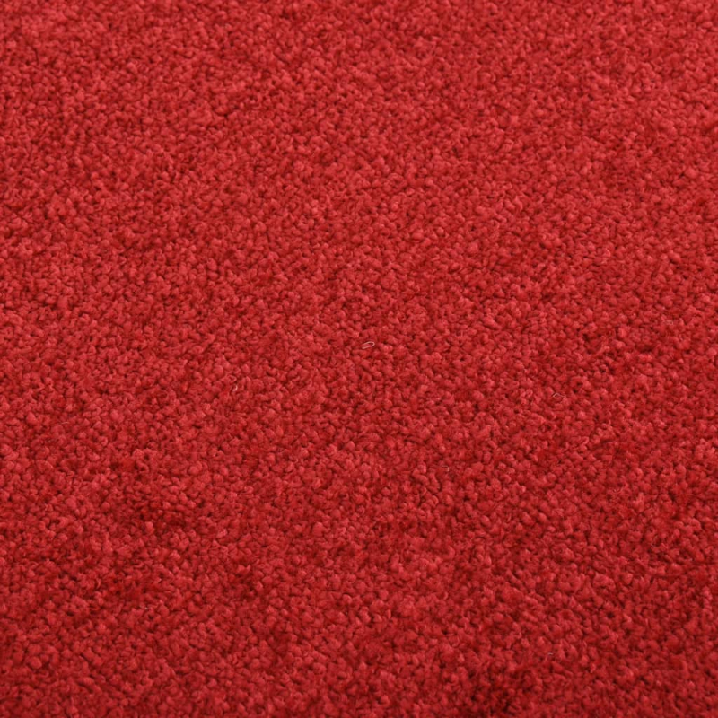 Fußmatte Rot 80x120 cm