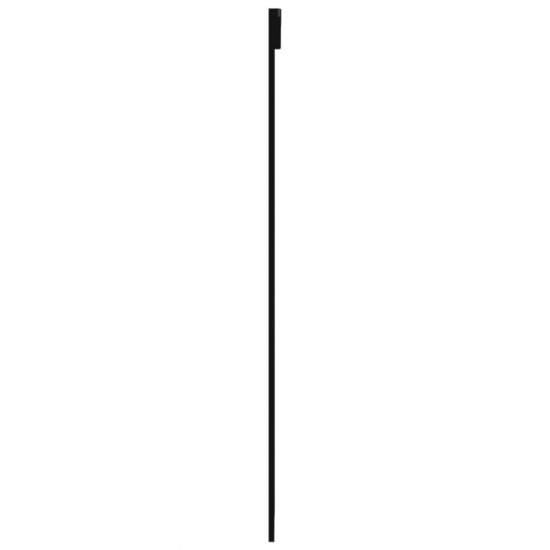 Schiebetür mit Beschlag ESG-Glas & Aluminium 76x205 cm