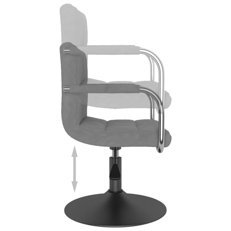 Esszimmerstuhl Hellgrau Samt