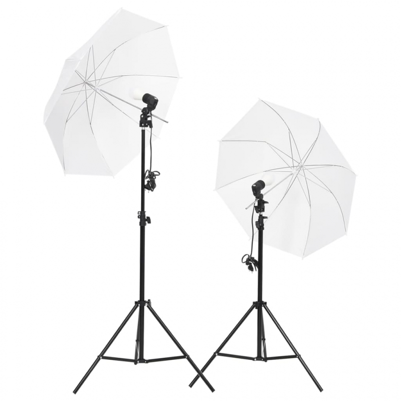 Fotostudio-Set mit Beleuchtung, Hintergrund und Reflektor