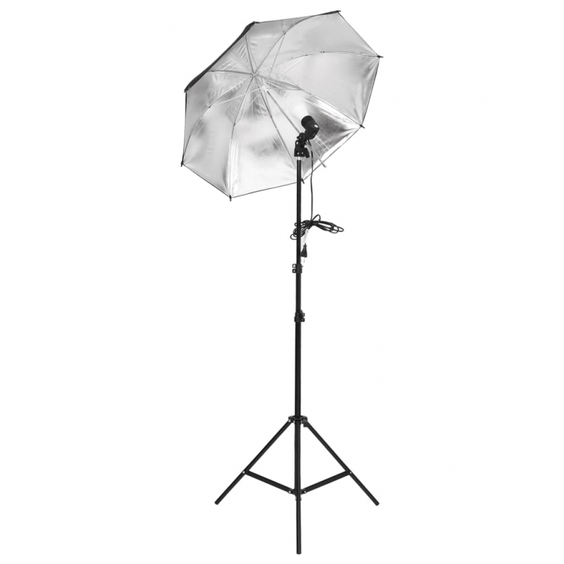 Fotostudio-Set mit Beleuchtung und Hintergrund