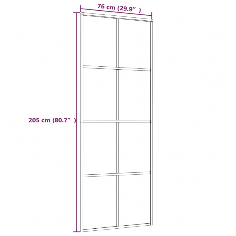 Schiebetür Schwarz 76x205 cm ESG Glas und Aluminium