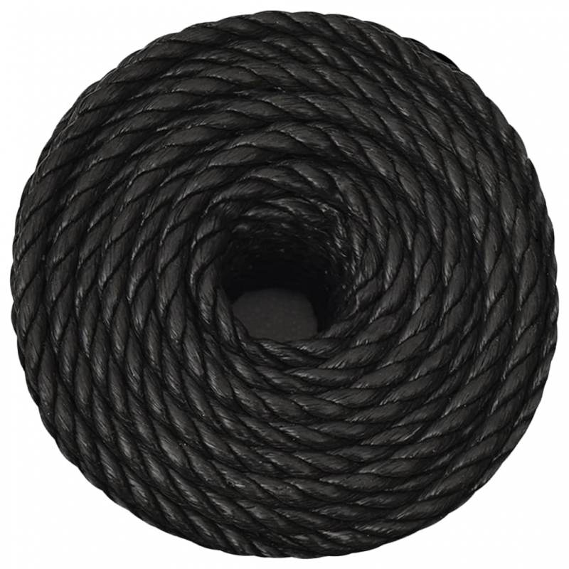 Arbeitsseil Schwarz 12 mm 50 m Polypropylen