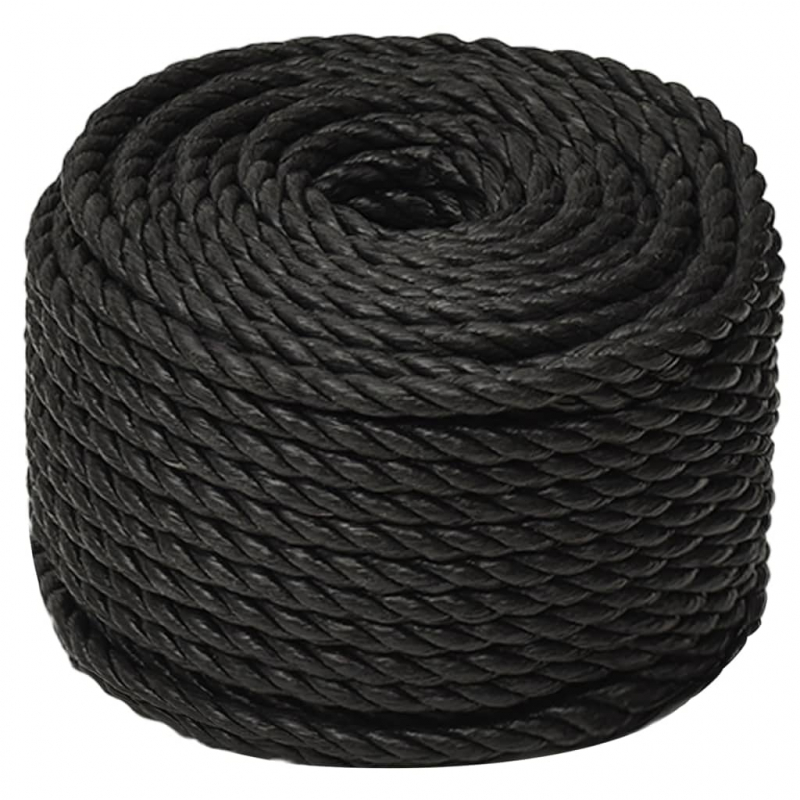 Arbeitsseil Schwarz 14 mm 100 m Polypropylen