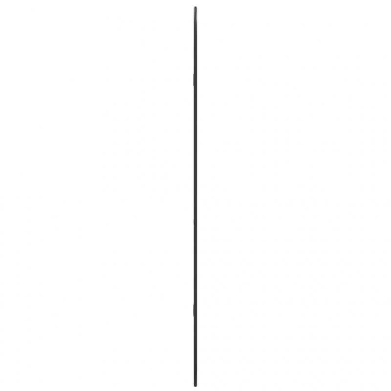 Wandspiegel Schwarz 100x45 cm Oval