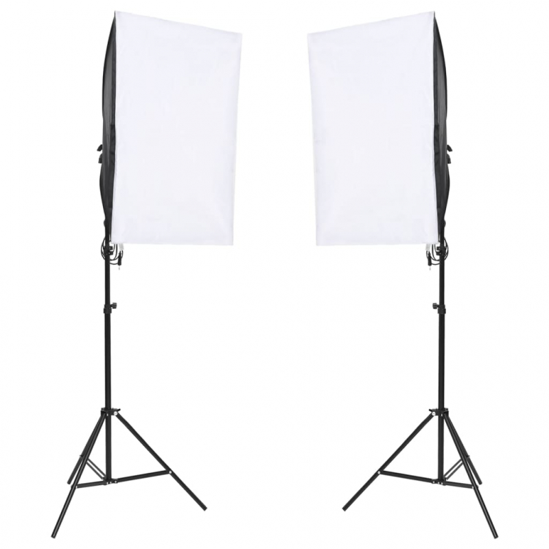 Fotostudio-Set mit Leuchten und Hintergrund