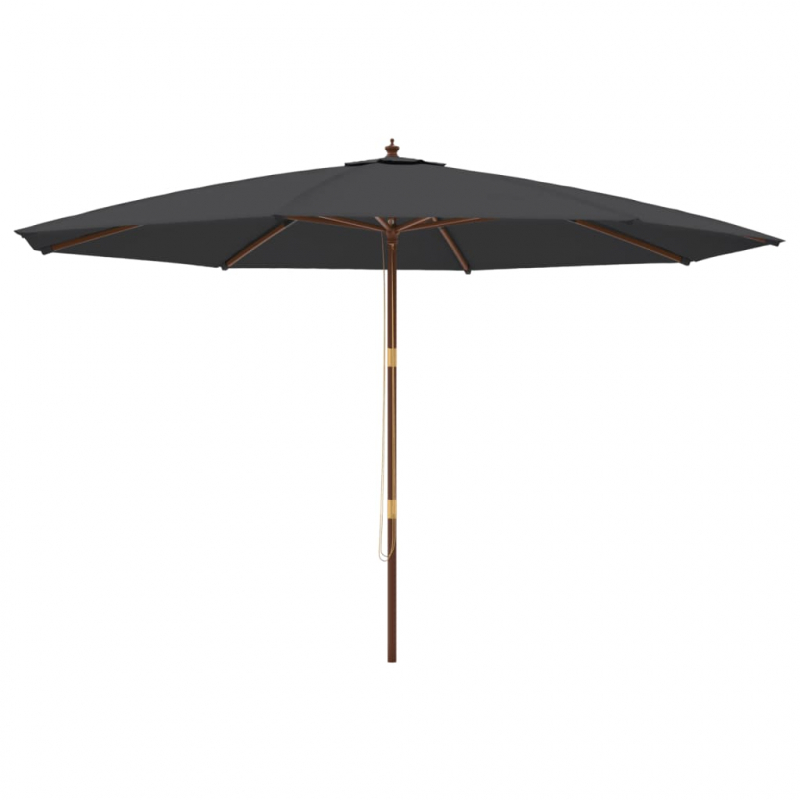 Sonnenschirm mit Holzmast Schwarz 400x273 cm