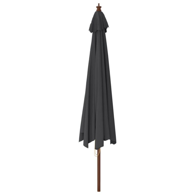 Sonnenschirm mit Holzmast Schwarz 400x273 cm