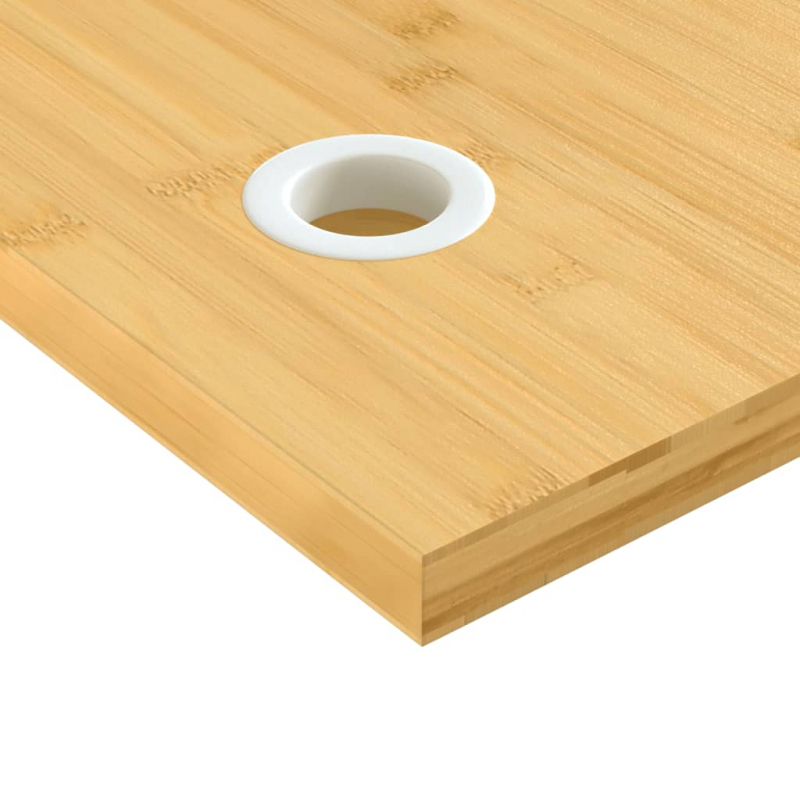 Schreibtischplatte 100x50x2,5 cm Bambus
