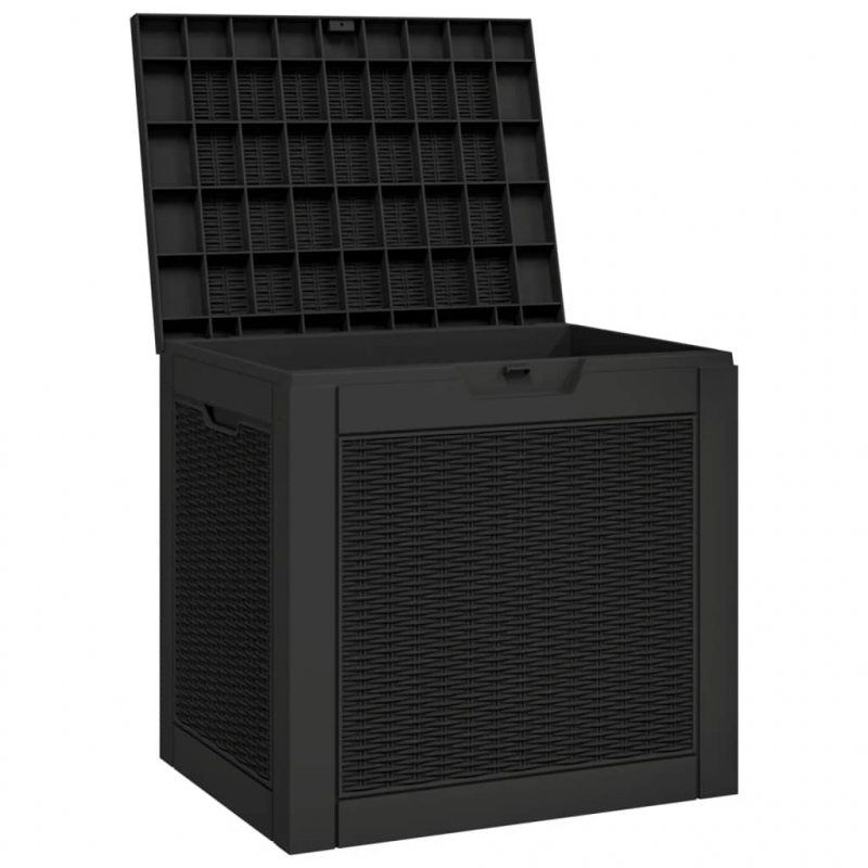 Gartenbox Schwarz 55,5x43x53 cm Polypropylen