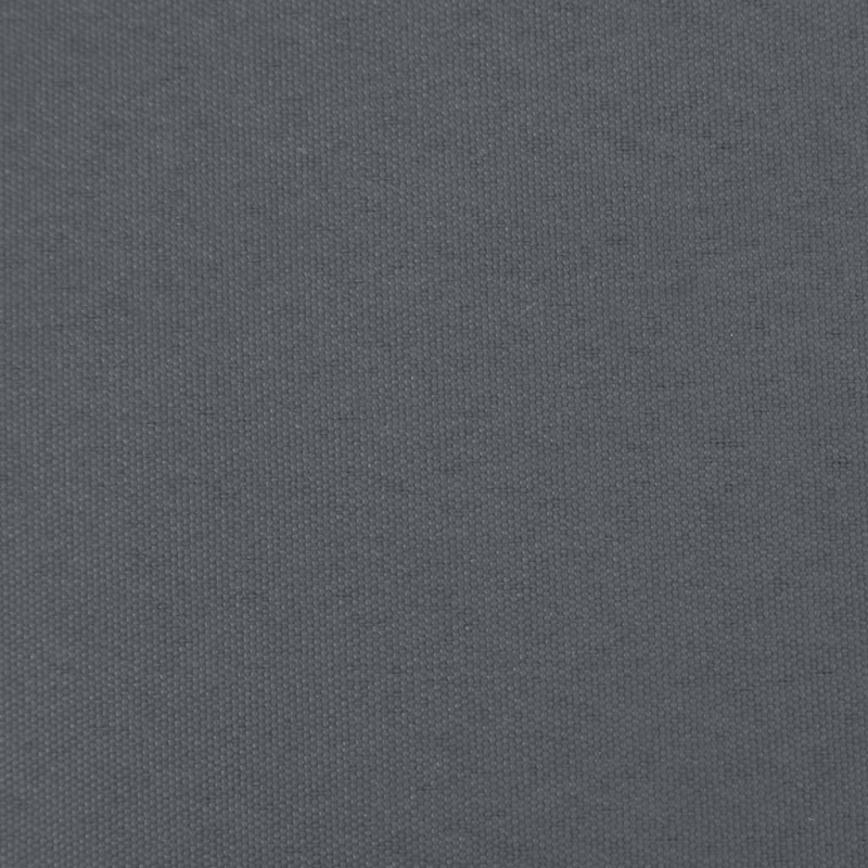 2-tlg. Garten-Lounge-Set mit Kissen Schwarz Massivholz