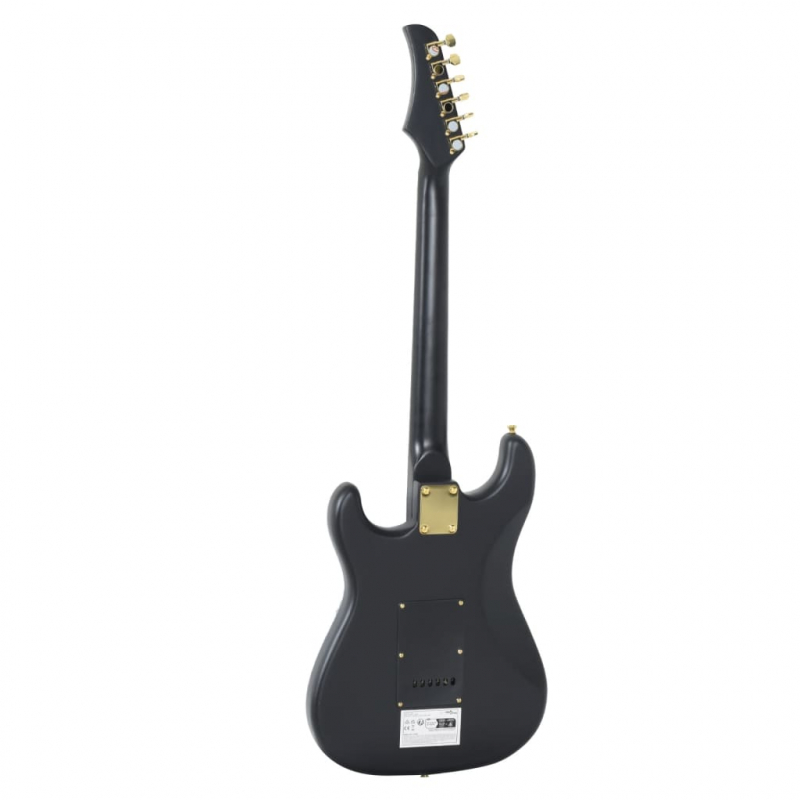 E-Gitarre für Anfänger mit Tasche Schwarz und Gold 4/4 39