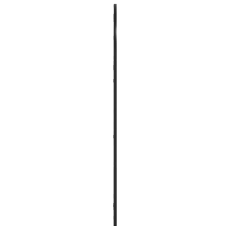 Wandspiegel Schwarz 60x110 cm Gewölbt Eisen