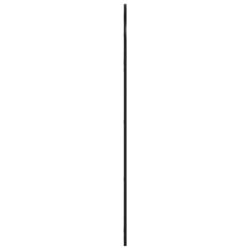 Wandspiegel Schwarz 60x130 cm Gewölbt Eisen