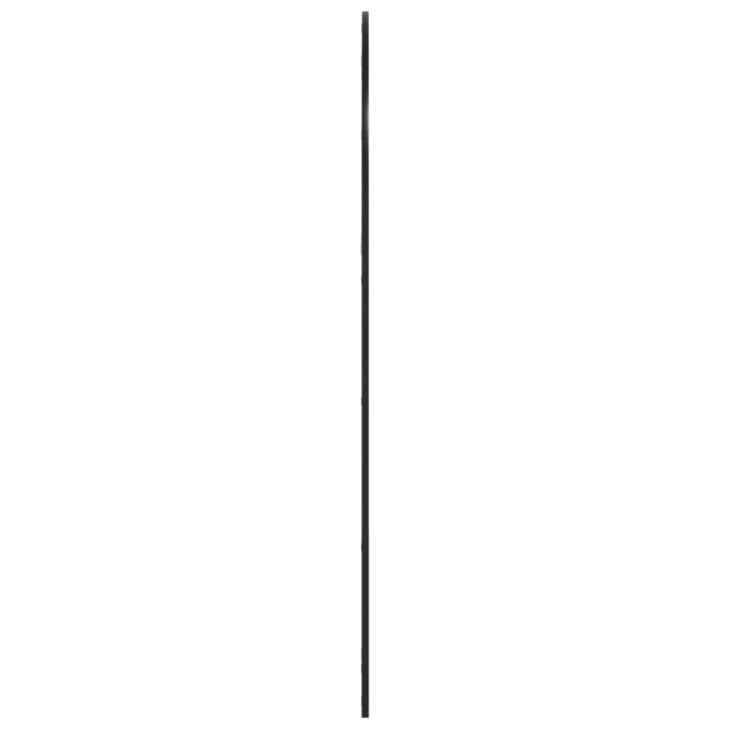 Wandspiegel Schwarz 100x150 cm Gewölbt Eisen