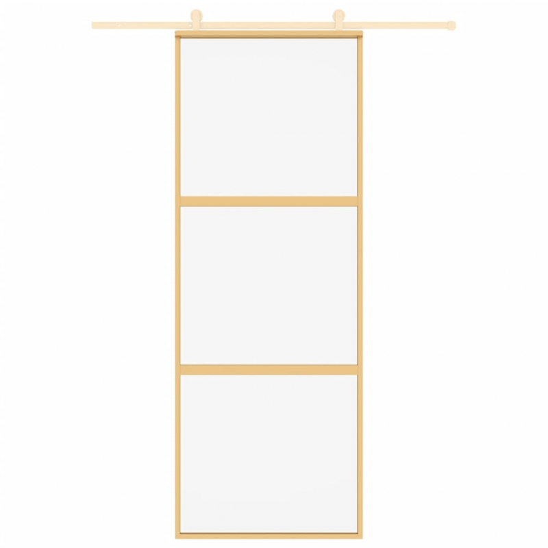 Schiebetür Golden 76x205 cm ESG-Klarglas und Aluminium