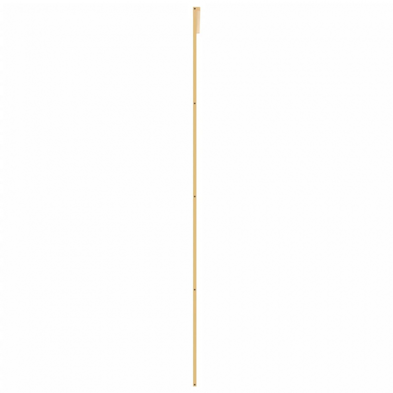 Schiebetür Golden 102,5x205 cm ESG-Klarglas und Aluminium