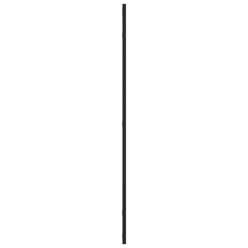 Wandspiegel Schwarz 50x100 cm Rechteckig Eisen