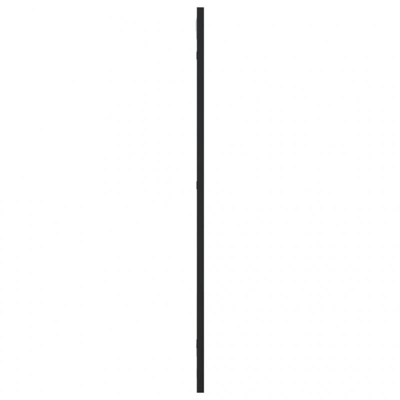 Wandspiegel Schwarz 30x80 cm Rechteckig Eisen